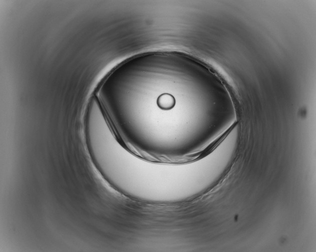 X0000100961468200807081230