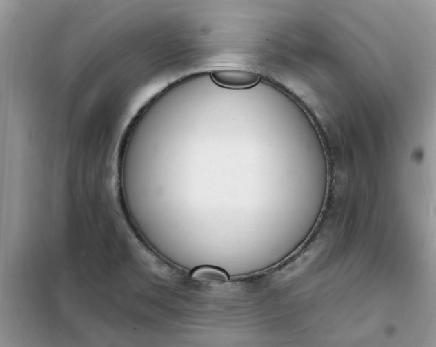 X0000100961469200807081230