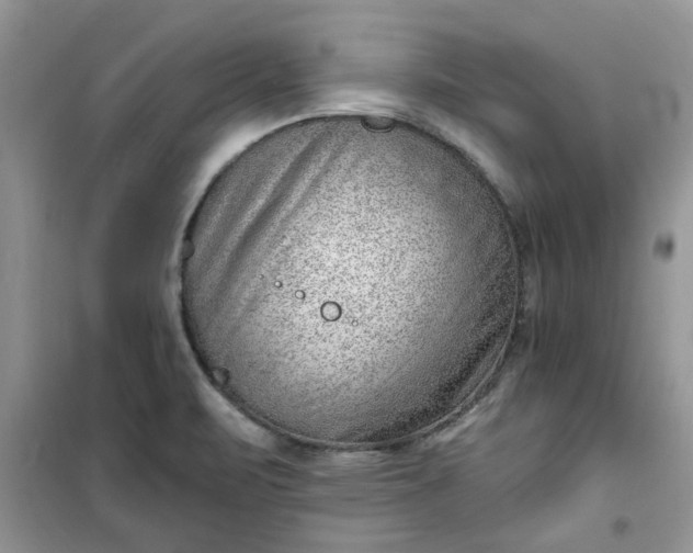 X0000100961471200807081230