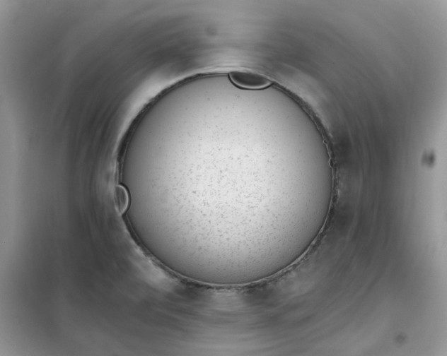 X0000100961472200807081230