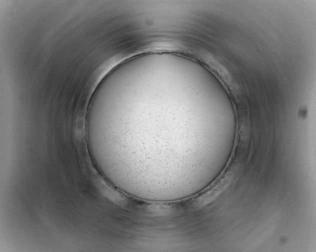 X0000100961473200807081230