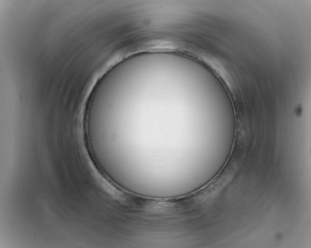 X0000100961475200807081230
