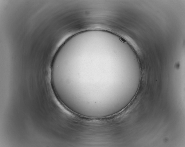 X0000100961476200807081230