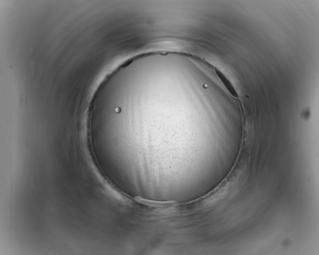 X0000100961477200807081230