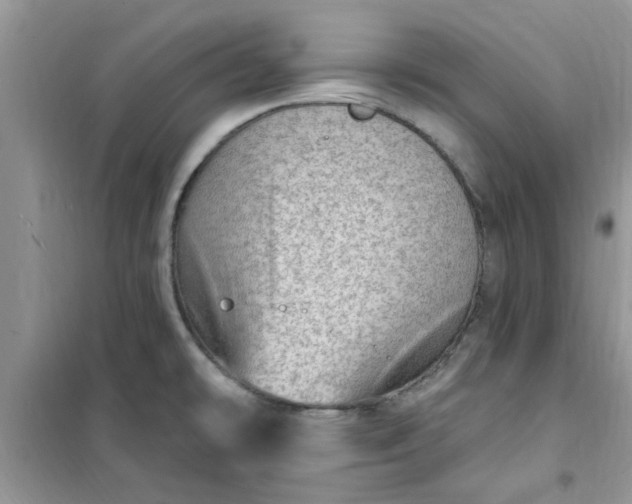 X0000100961478200807081230
