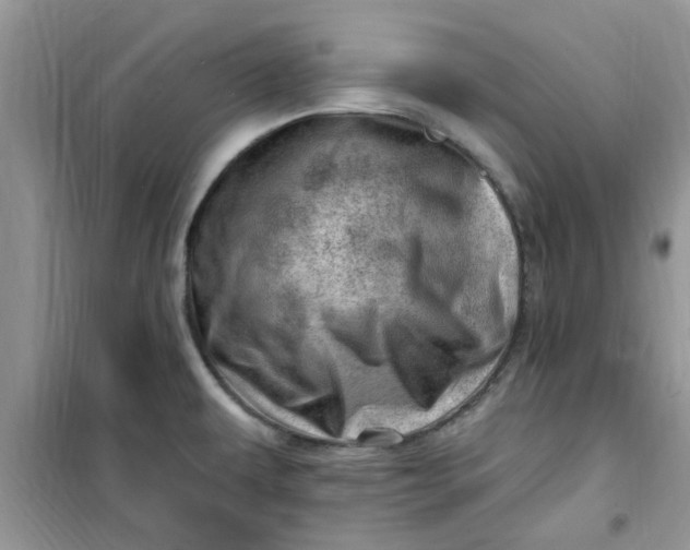 X0000100961479200807081230