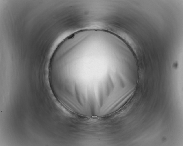 X0000100961480200807081230