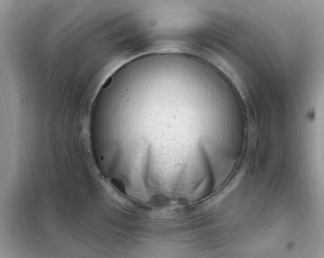 X0000100961481200807081230