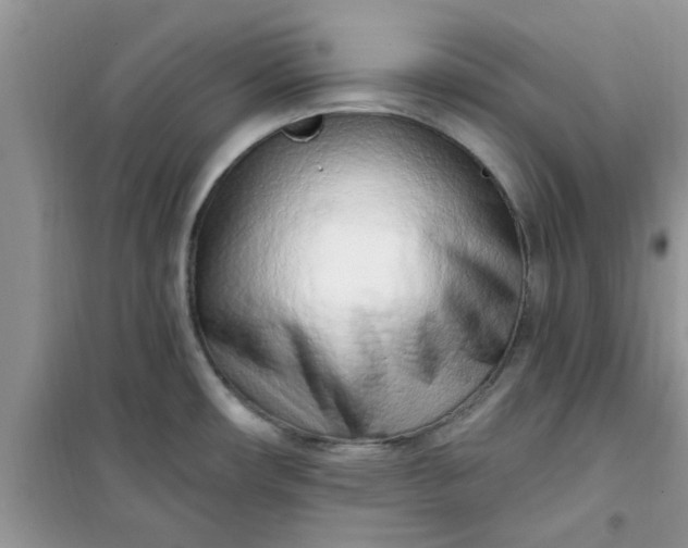X0000100961482200807081230