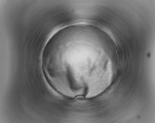 X0000100961483200807081230