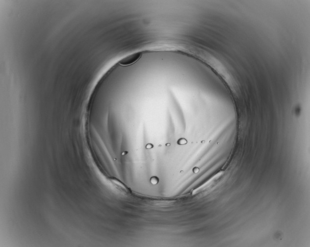 X0000100961484200807081230