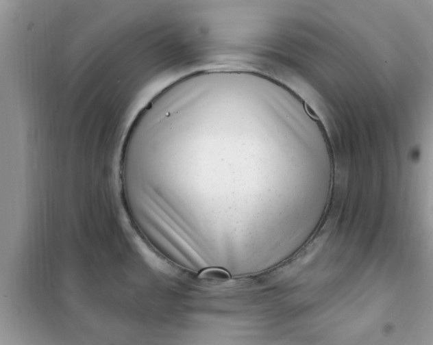 X0000100961485200807081230