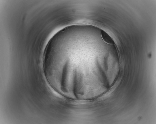 X0000100961486200807081230