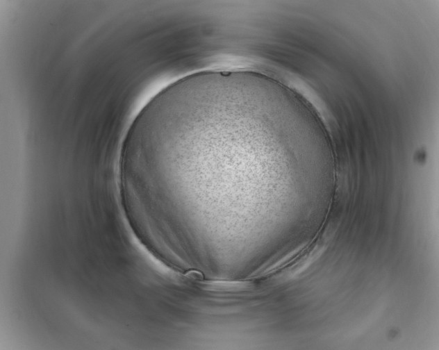 X0000100961487200807081230
