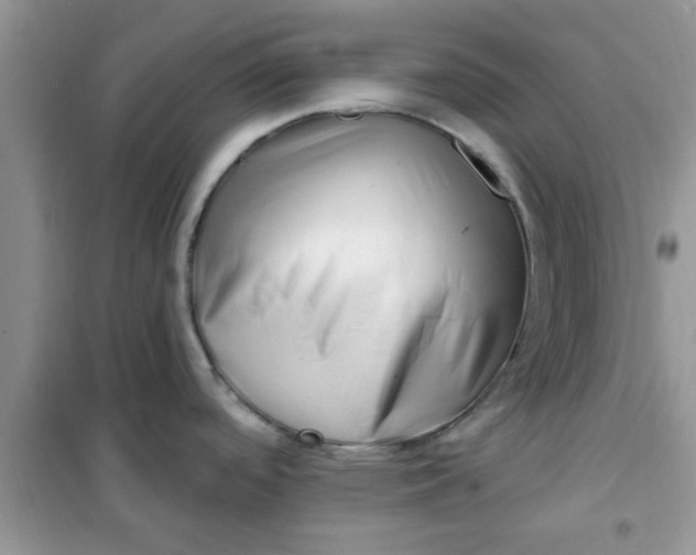 X0000100961488200807081230