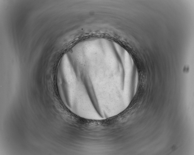 X0000100961489200807081229