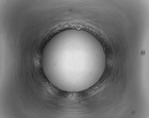X0000100961490200807081229
