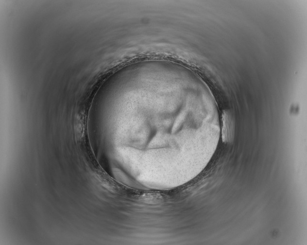 X0000100961491200807081229