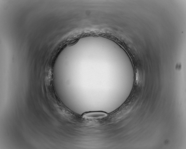 X0000100961492200807081229