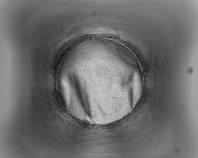 X0000100961493200807081229