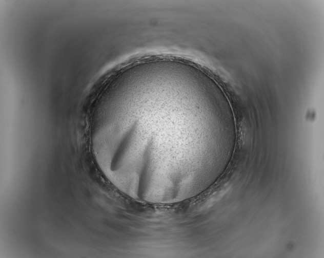 X0000100961494200807081229