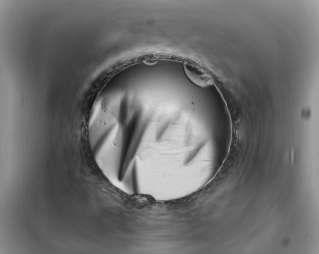 X0000100961495200807081229