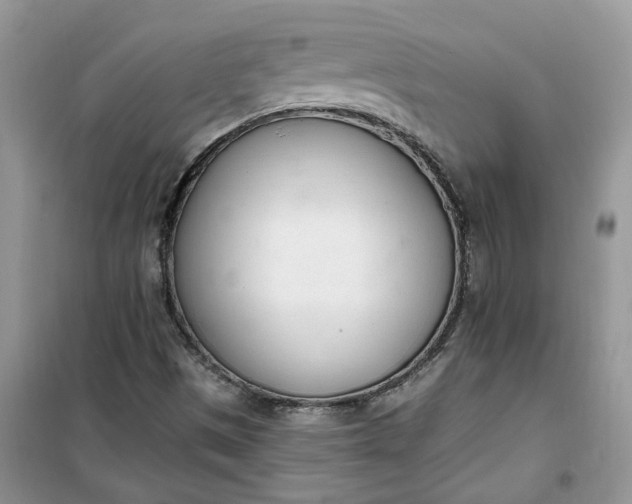 X0000100961497200807081229
