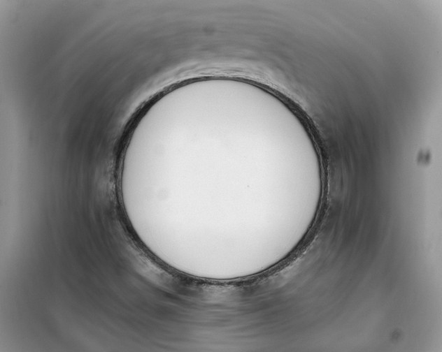 X0000100961498200807081229