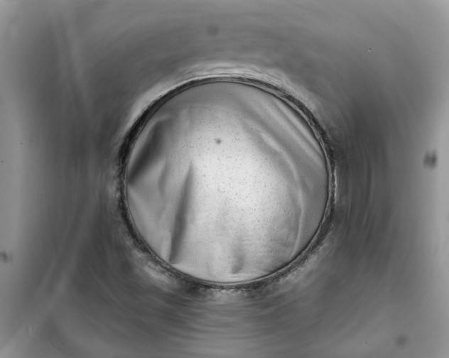 X0000100961501200807081229