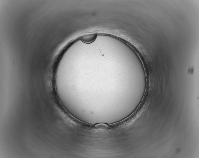 X0000100961502200807081229