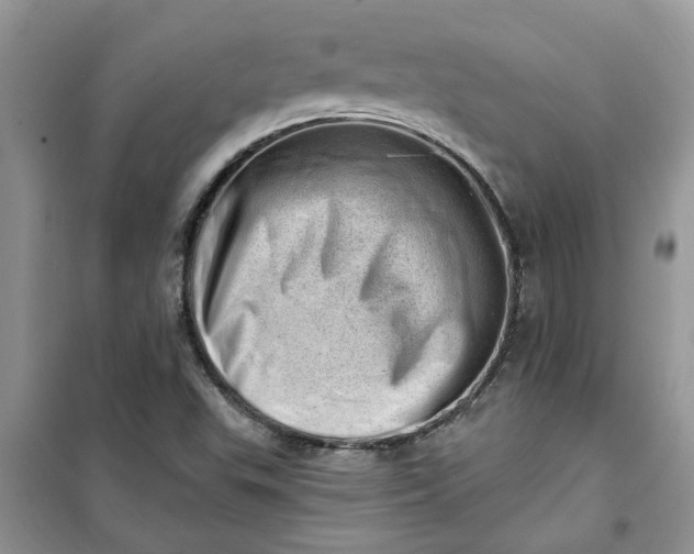 X0000100961503200807081229