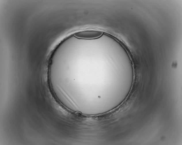 X0000100961504200807081229