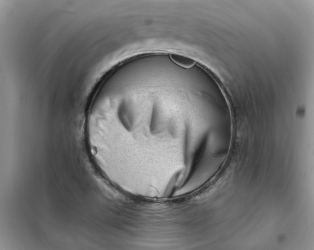 X0000100961507200807081229