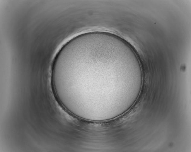 X0000100961508200807081229