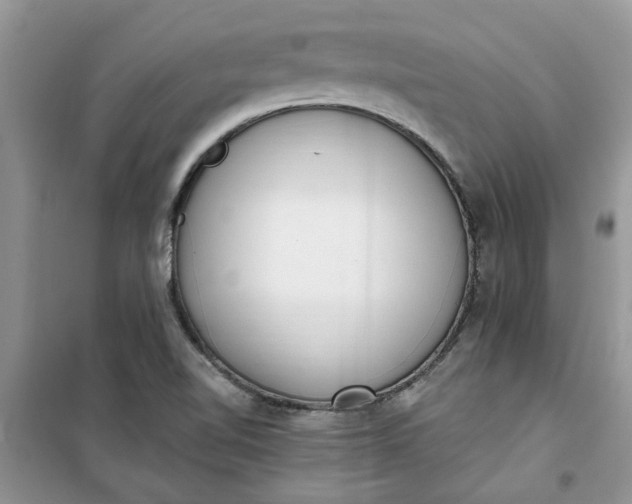 X0000100961510200807081229