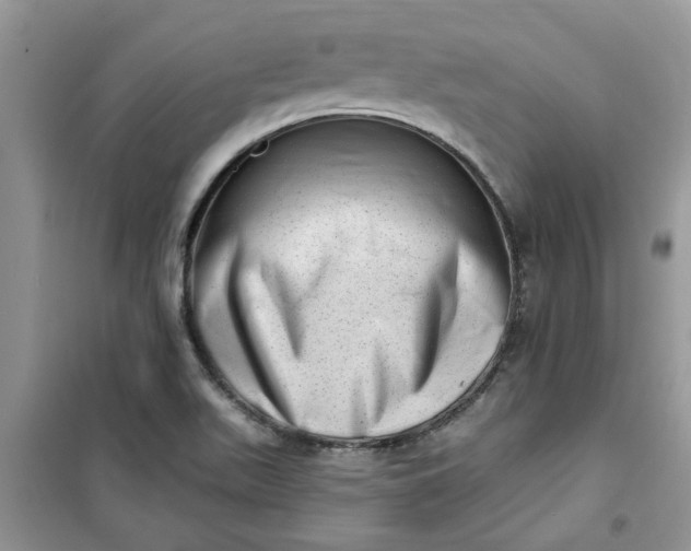 X0000100961511200807081229