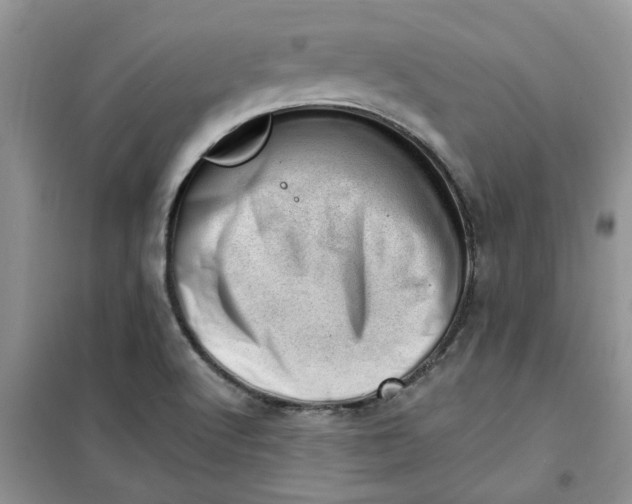 X0000100961512200807081229