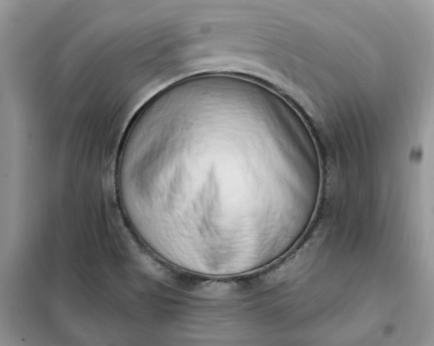 X0000100961513200807081229