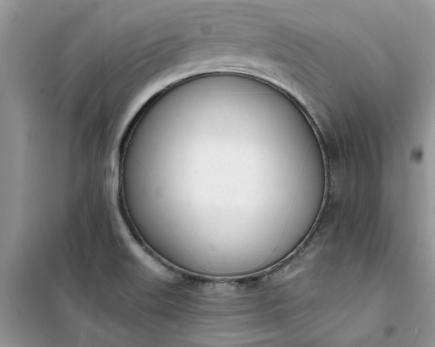 X0000100961515200807081230