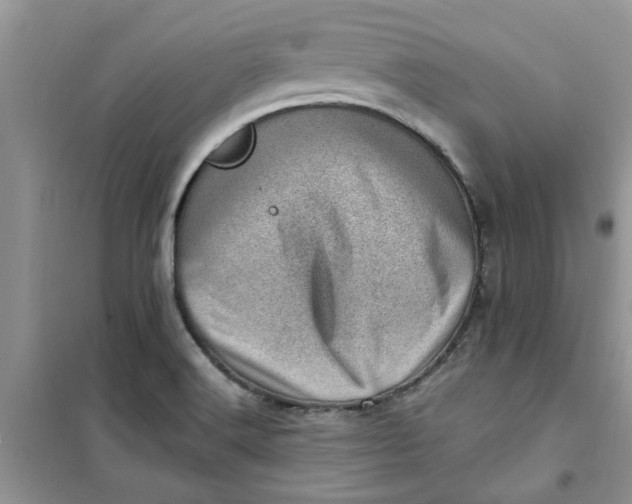 X0000100961516200807081230