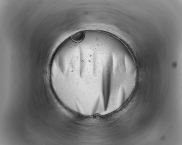 X0000100961517200807081230