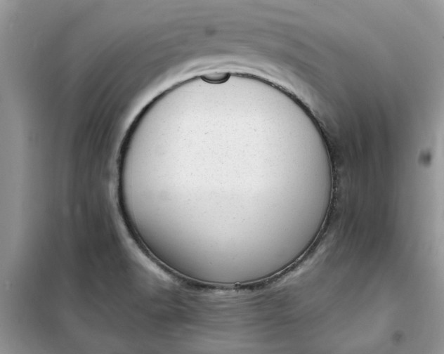 X0000100961518200807081230