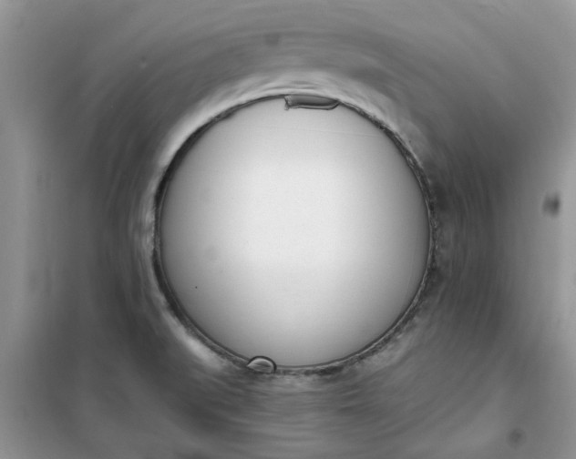 X0000100961519200807081230