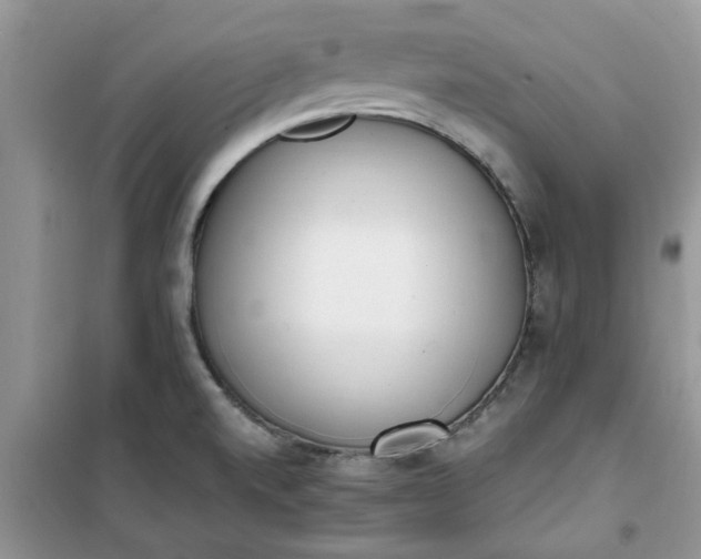 X0000100961520200807081230