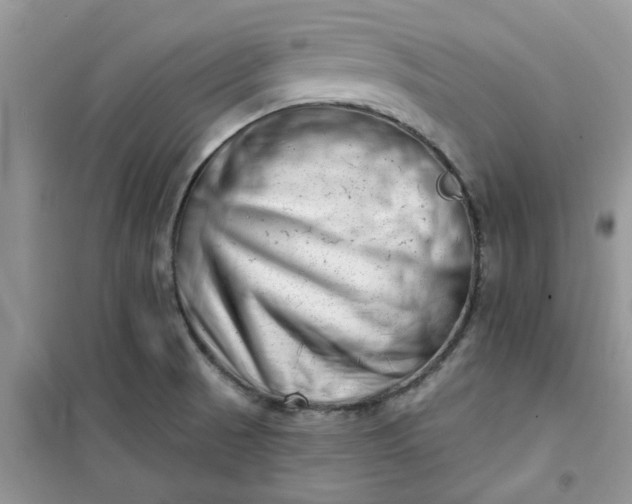 X0000100961521200807081230