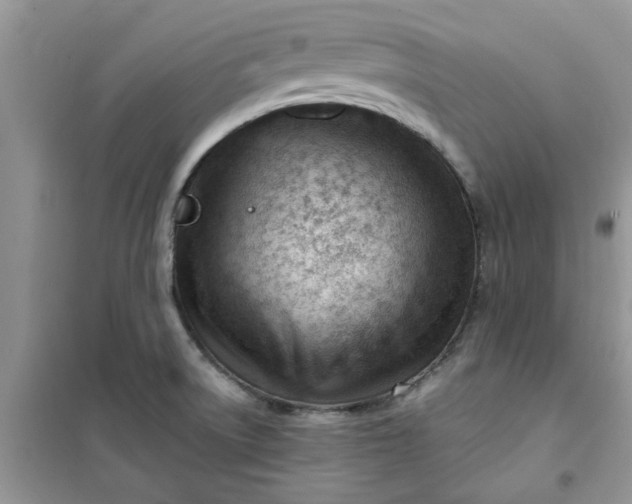 X0000100961522200807081230