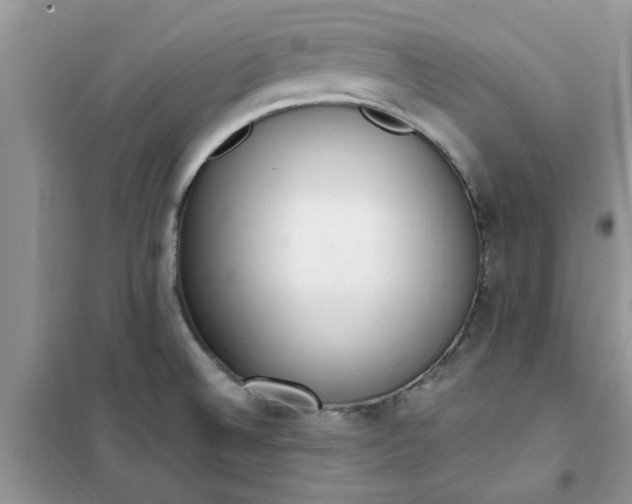 X0000100961524200807081230
