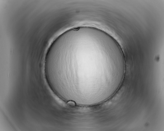 X0000100961525200807081230