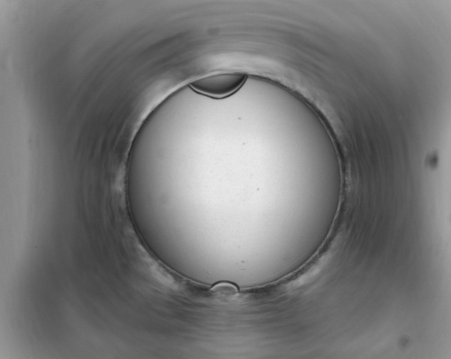 X0000100961529200807081230