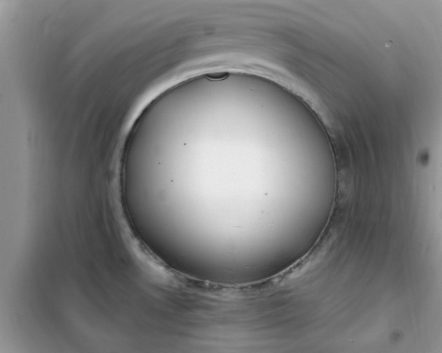 X0000100961530200807081230
